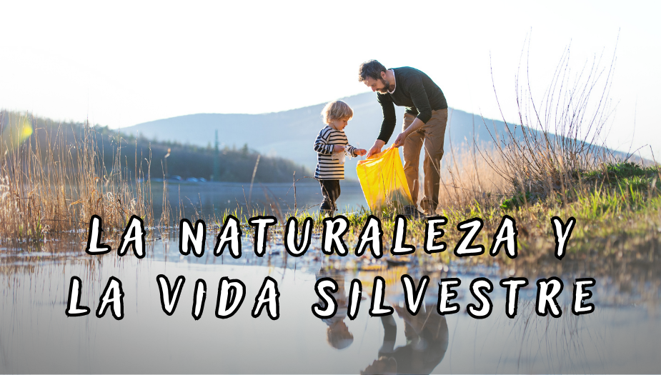 la naturaleza y la vida silvestre