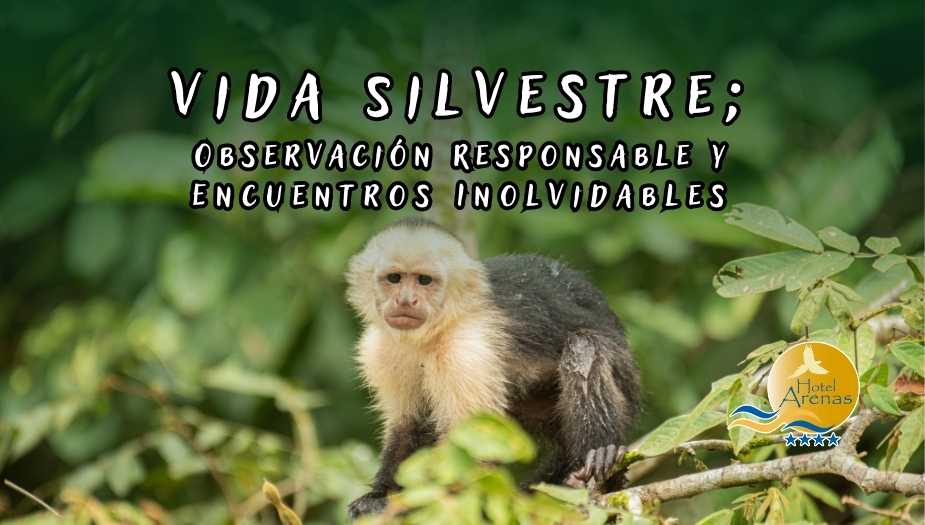 Vida Silvestre: Observación Responsable y Encuentros Inolvidables